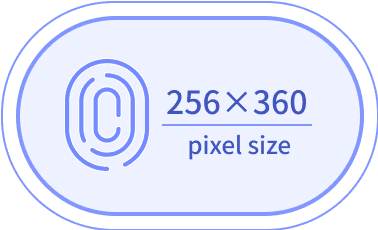 成功推出256×360 pixel size指紋辨識感測IC。